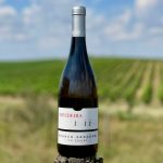 Ervideira Invisível