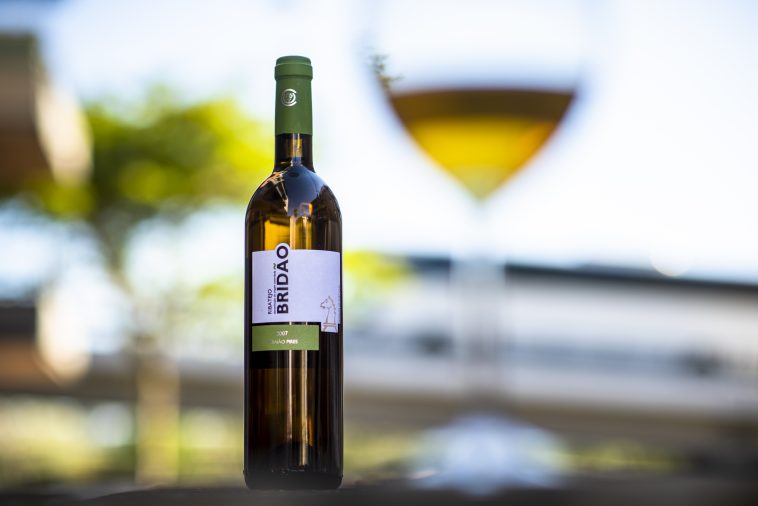 Adega do Cartaxo Fernão Pires