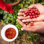 International Coffee Partners café