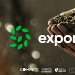 Export.i9 internacionalização