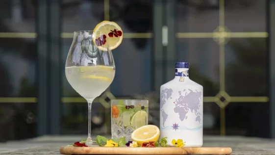 gin consumo