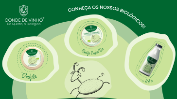 Queijaria da Caramuja queijos bio