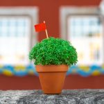 transações Santos Populares