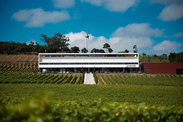 AdegaMãe_01Set2021_11