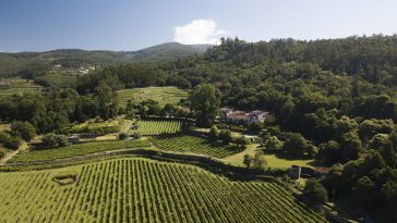 João Portugal Ramos vinhos verdes