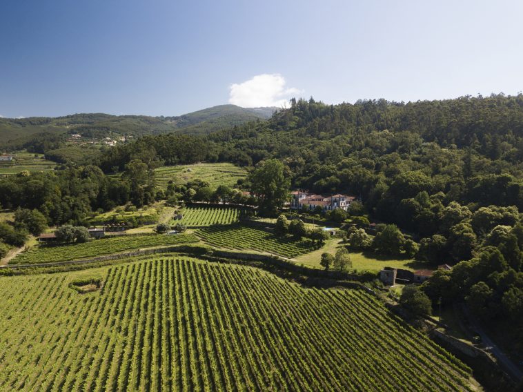 João Portugal Ramos vinhos verdes