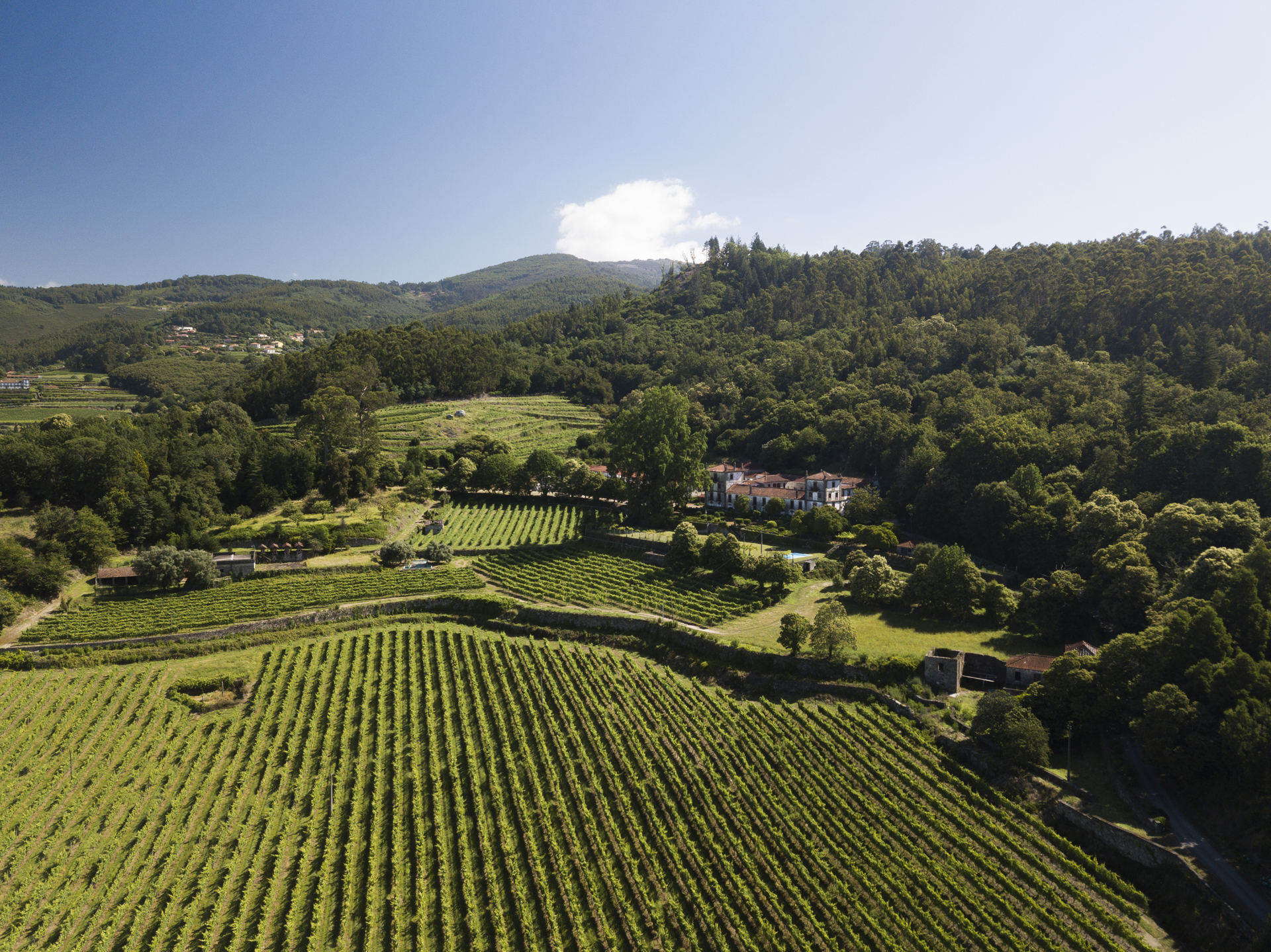 João Portugal Ramos reforça presença na região dos Vinhos Verdes