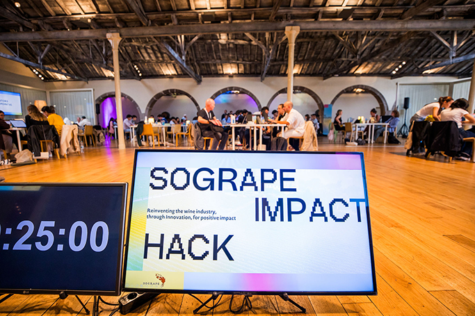 Sogrape Impact Hack