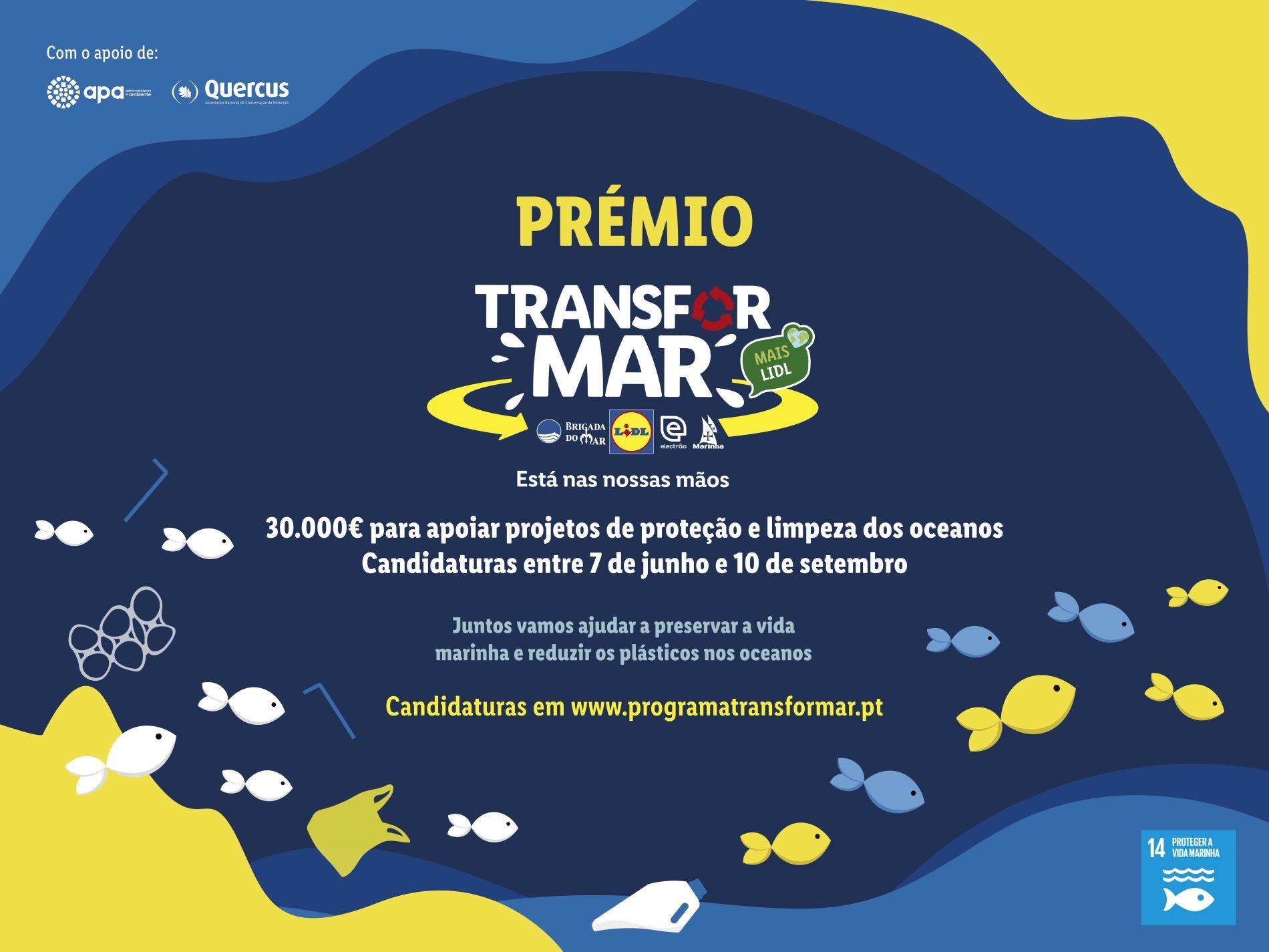 Programa TransforMAR tem 30 mil euros para apoiar a proteção dos oceanos e ecossistemas aquáticos