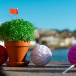 transações Santos Populares