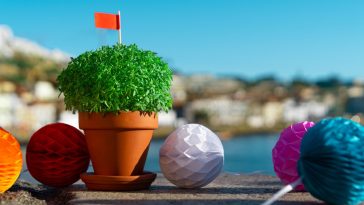 transações Santos Populares