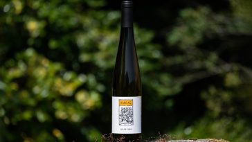 Quinta do Ameal 2023