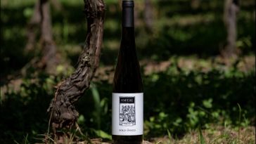 Quinta do Ameal Ameal Solo Único 2023