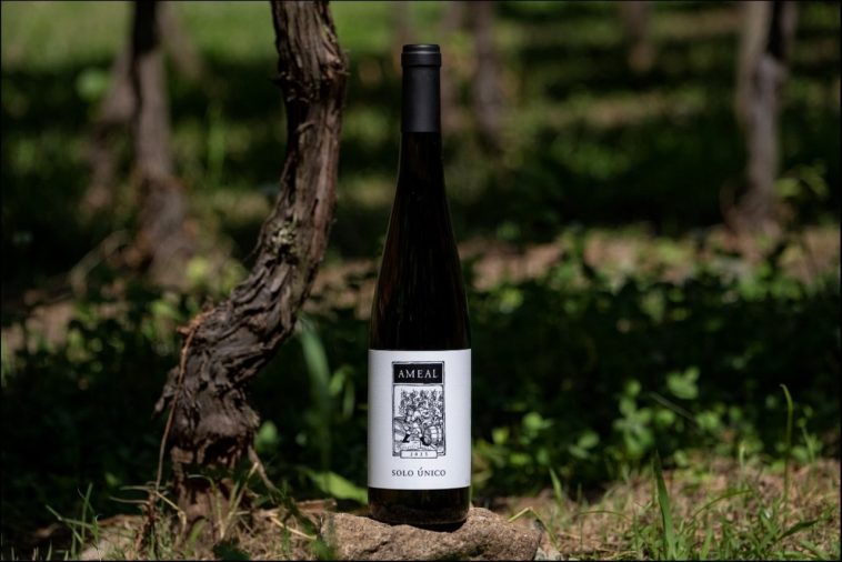 Quinta do Ameal Ameal Solo Único 2023