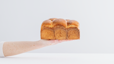 Gleba Centro Vasco da Gama