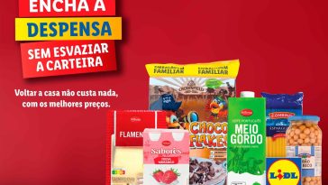 Lidl Portugal campanha