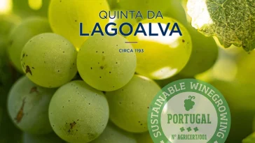 Imagem Selo Certificação