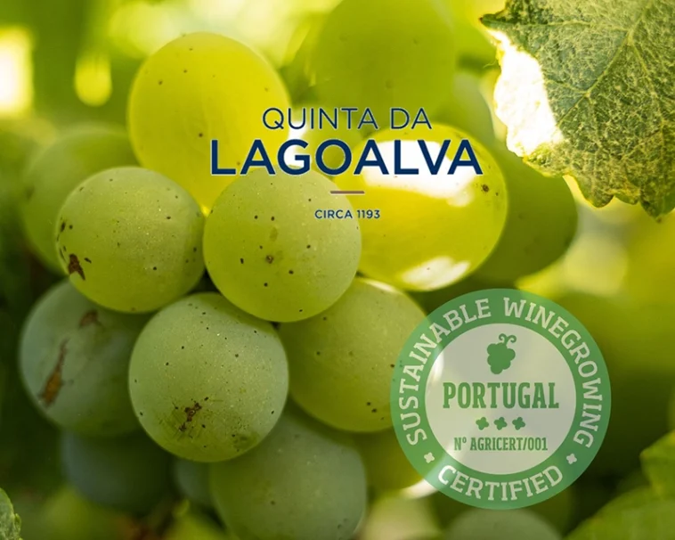 Imagem Selo Certificação