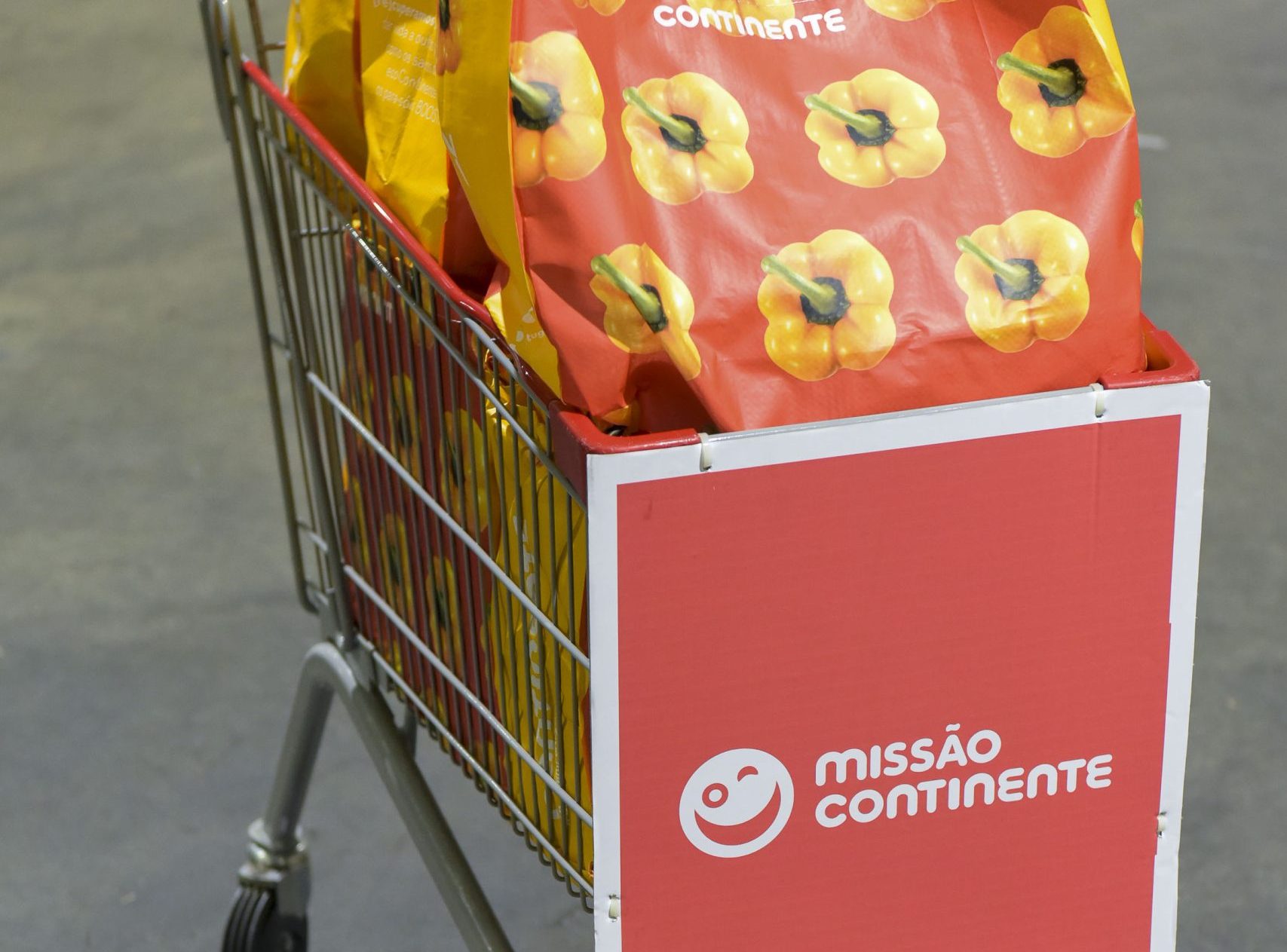 Missão Continente solidariedade