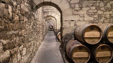 Portfolio Vinhos Marqués de Riscal