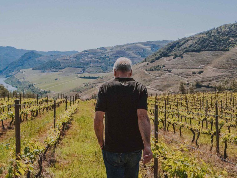 Enoturismo Quanta Terra