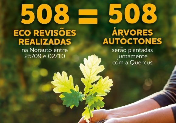Norauto vai plantar 508 árvores