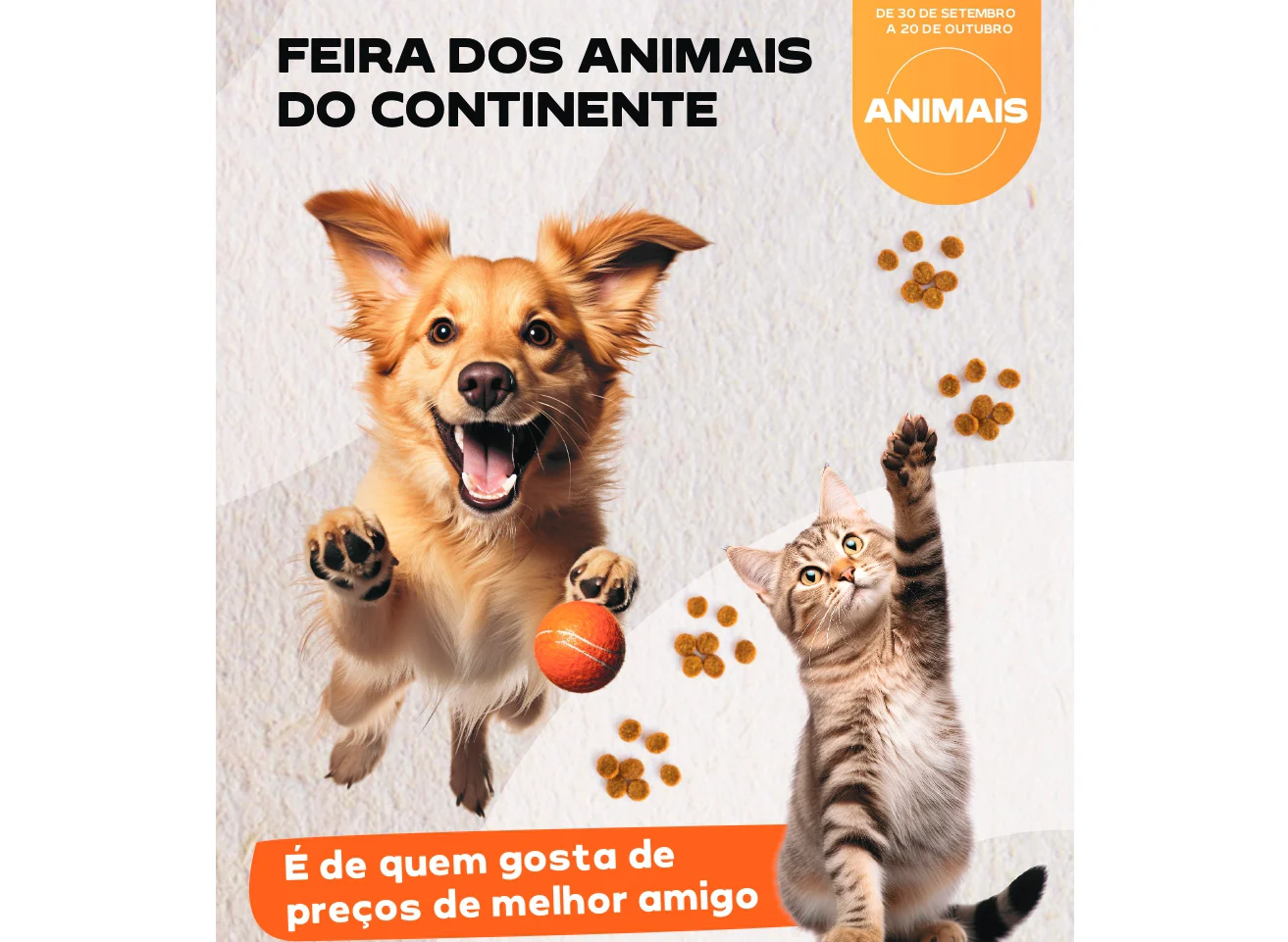Feira dedicada aos animais de estimação regressa às lojas Continente