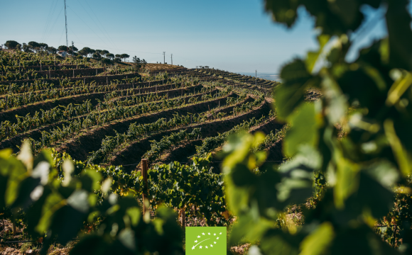 Herdade Aldeia de Cima obtém certificação de agricultura biológica