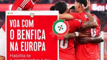 Cerveja Sagres passatempo Benfica