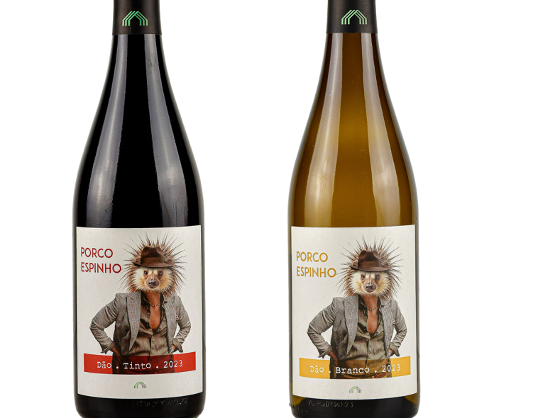 Cas’Amaro vinhos Dão
