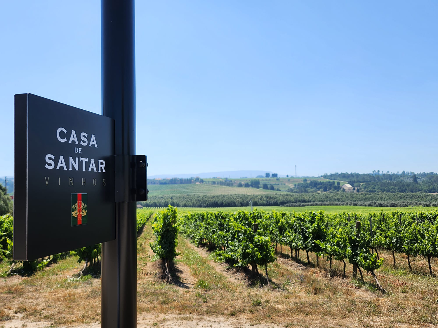 Global Wines recebe Referencial Nacional de Sustentabilidade
