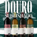 Sogevinus campanha São Luiz