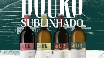 Sogevinus campanha São Luiz