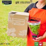 IPVC Aromáticas Vivas desperdício alimentar