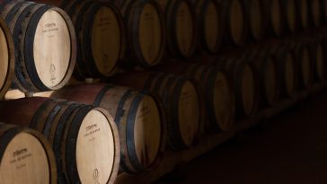 Casa de Santar Vinha dos Amores