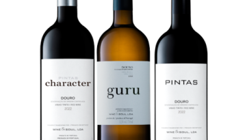 Wine&Soul vinhos colheitas