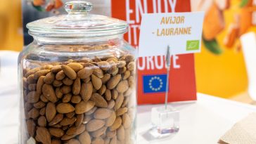 amêndoa portuguesa Exportações