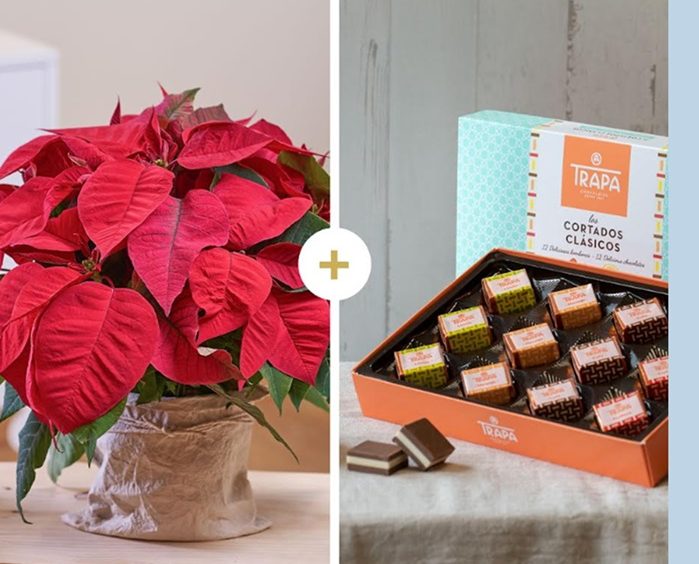 Chocolates Trapa e Interflora unem-se em Portugal para o Natal