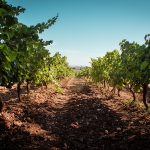 Cas’Amaro Implante