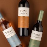 João Portugal Ramos Tons de Duorum