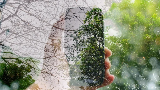 shutterstock_725455570