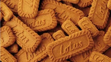 Lotus Biscoff