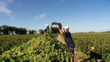 Quinta da Alorna sustentabilidade