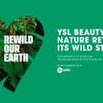 YSL Beauty Rewild Our Earth