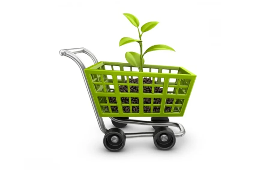 Consumidores querem viver de forma sustentável, mas falta oferta acessível e de qualidade