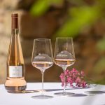 M. Cunha Vinhos portefólio