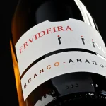 Ervideira Invisível 2024