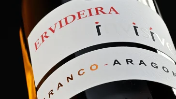 Ervideira Invisível 2024