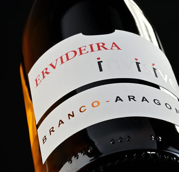 Ervideira Invisível 2024