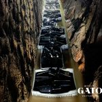 Quinta do Gato Enoturismo